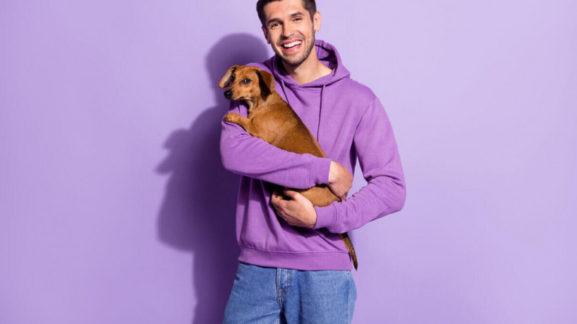 Cuidar atentamente dos pets após a castração previne problemas (Imagem: Roman Samborskyi | Shutterstock)