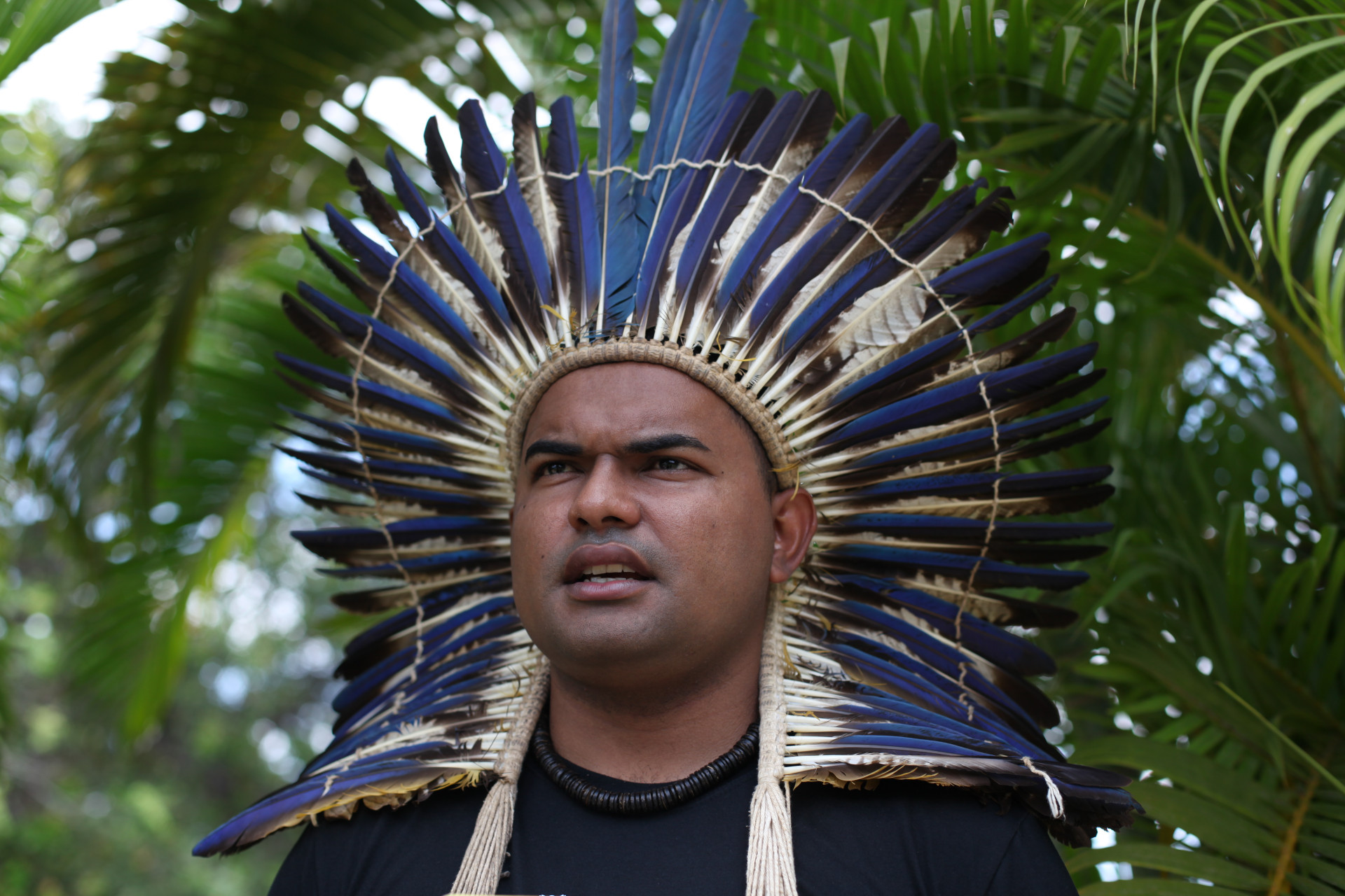 CAUCAIA, CEARÁ, BRASIL,29.09.2023: Cassimiro Tapeba, liderança indígena. Carnaúba sagrada para os Tapeba ameaçada.