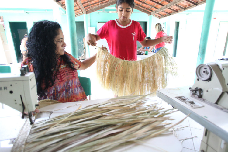 CAUCAIA, CEARÁ, BRASIL,29.09.2023: Comunidade indígena Tapeba fazem preparativos para a festa da Carnaúba.  Carnaúba sagrada para os Tapeba ameaçada.
