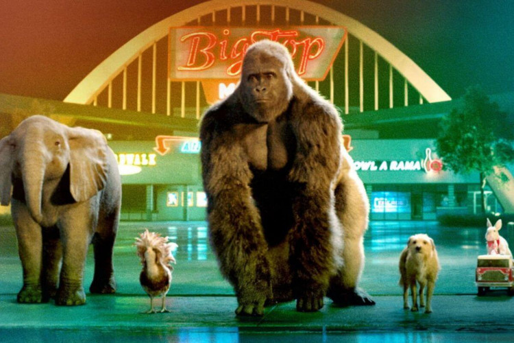 Filmes estimulam a reflexão sobre os direitos dos animais no público (Imagem: Reprodução digital | Walt Disney Studios Motion Pictures)