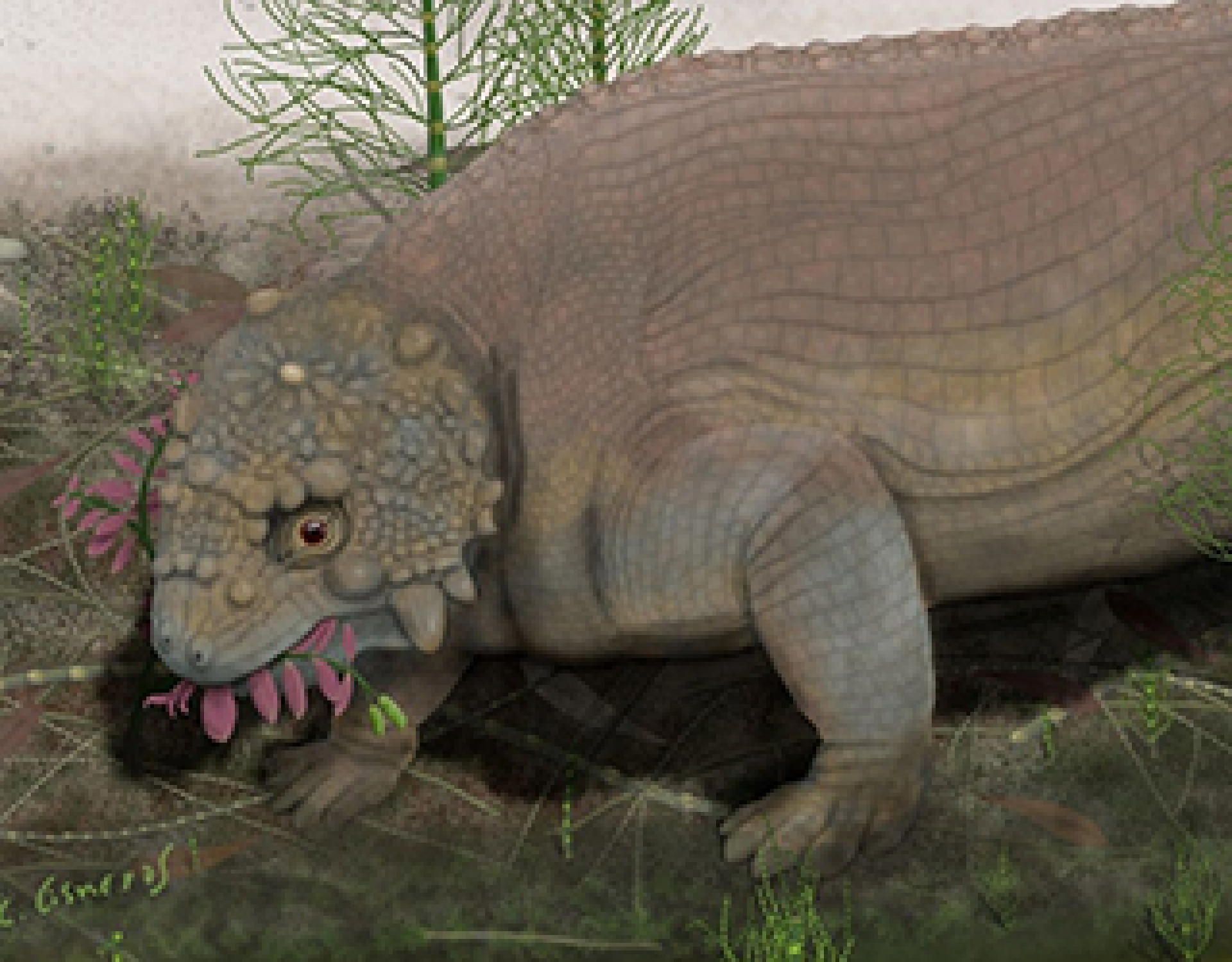 Conheça o pareiassauro