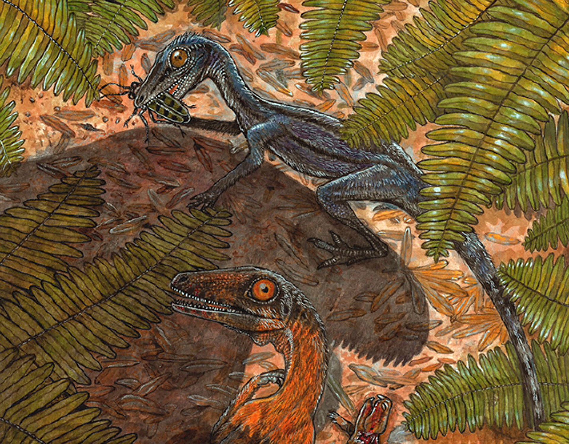 Opa, não era um pterossauro