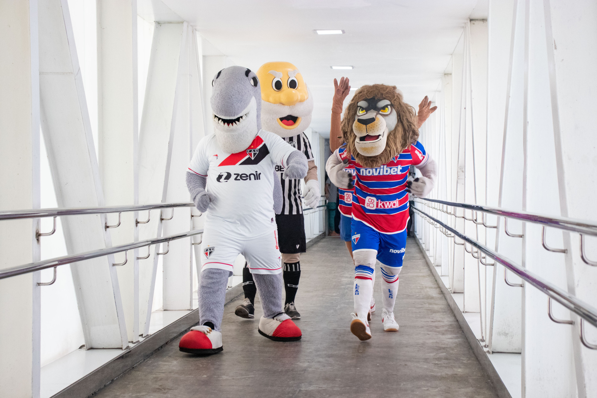FORTALEZA, CEARÁ, BRASIL, 11-10-2023: Mascotes de times de futebol fazem a Semana da Criança no Hospital IJF. (Foto: Samuel Setubal/ O Povo)