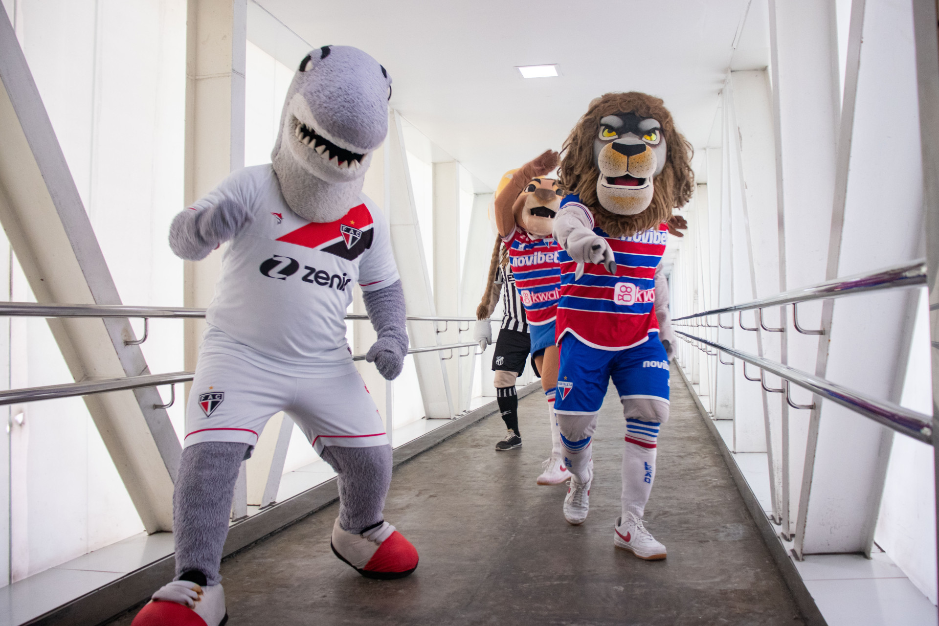 FORTALEZA, CEARÁ, BRASIL, 11-10-2023: Mascotes de times de futebol fazem a Semana da Criança no Hospital IJF. (Foto: Samuel Setubal/ O Povo)
