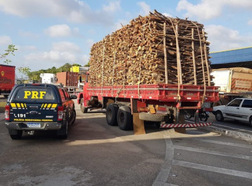 A carga de 17  m³ de madeira foi levada para a Superintendência Estadual do Meio Ambiente 