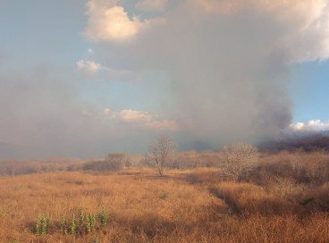 Um incêndio foi registrado em uma área de vegetação na Serra do Urubu, localizada no município de Aiuaba, e levou nove horas para ser contido pelos bombeiros 