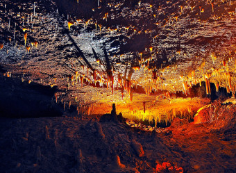 Em geral, os morcegos preferem cavernas grandes e carbonáticas — aquelas cujas rochas são de carbonato de cálcio. 
