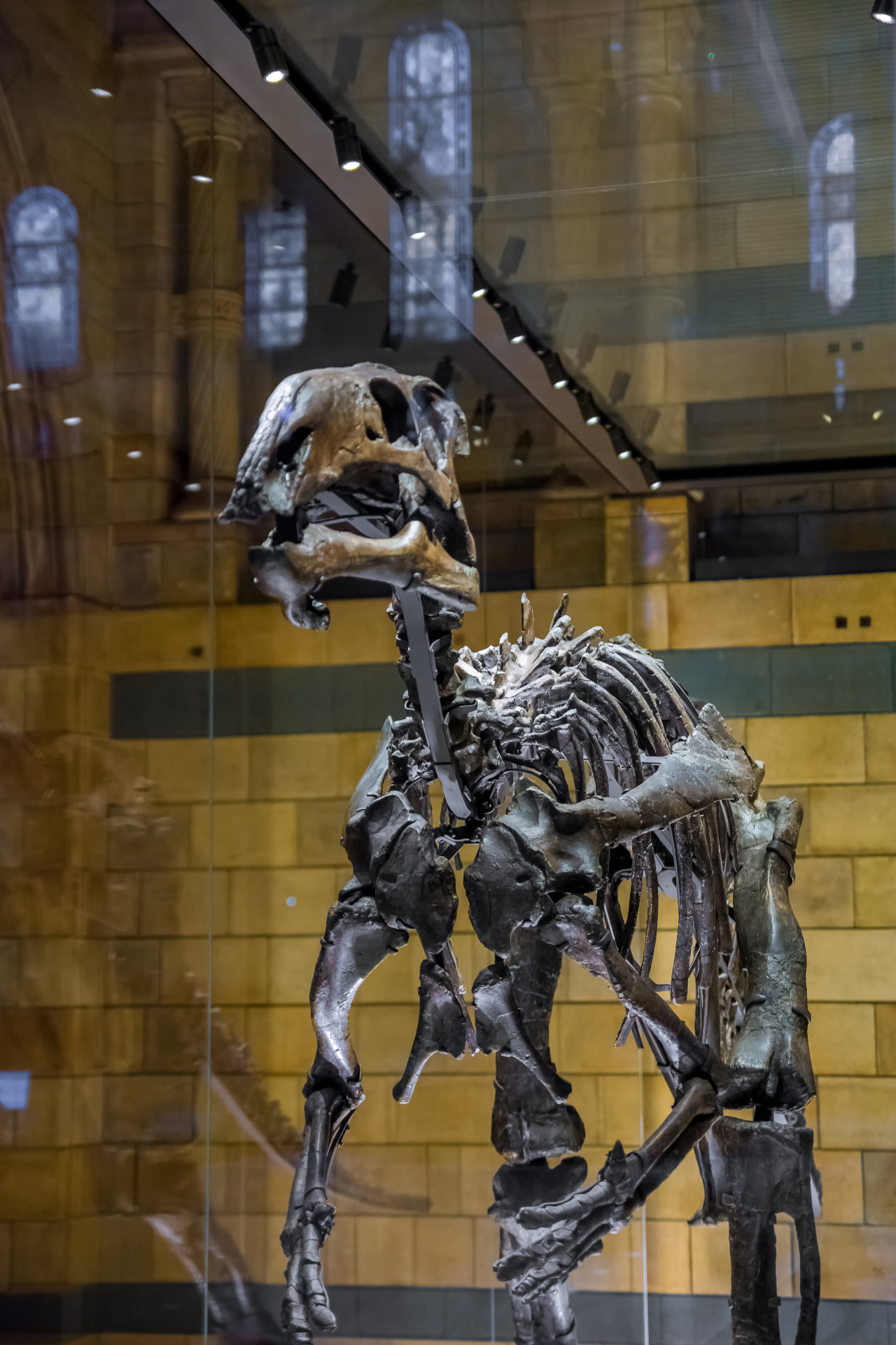 Pegadas de dinossauros com 125 milhões de anos são encontradas na Inglaterra 