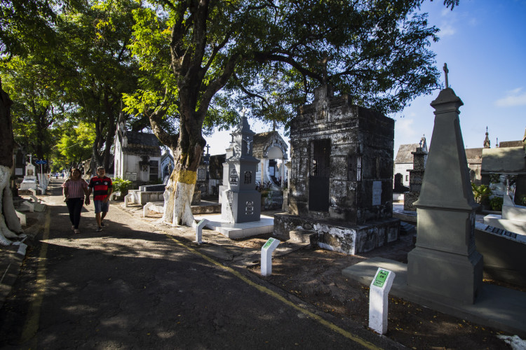 FORTALEZA, CEARÁ, BRASIL, 01-11-2023: Preparativos para o Dia de Finados, no Cemitério São João Batista, no centro da cidade. (Foto: Fernanda Barros/ O Povo)
