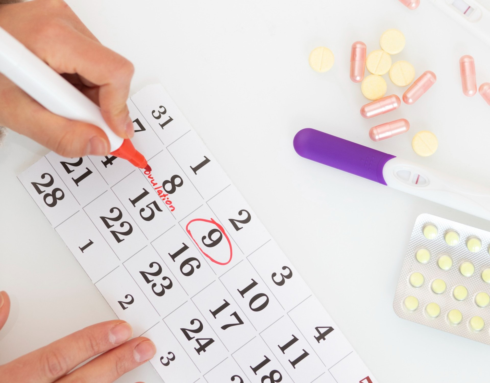 Pensando nisso, tornou-se popular o 