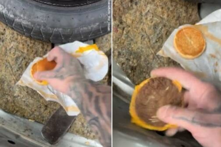 Mecânico encontra cheeseburguer esquecido em porta malas de carro durante anos