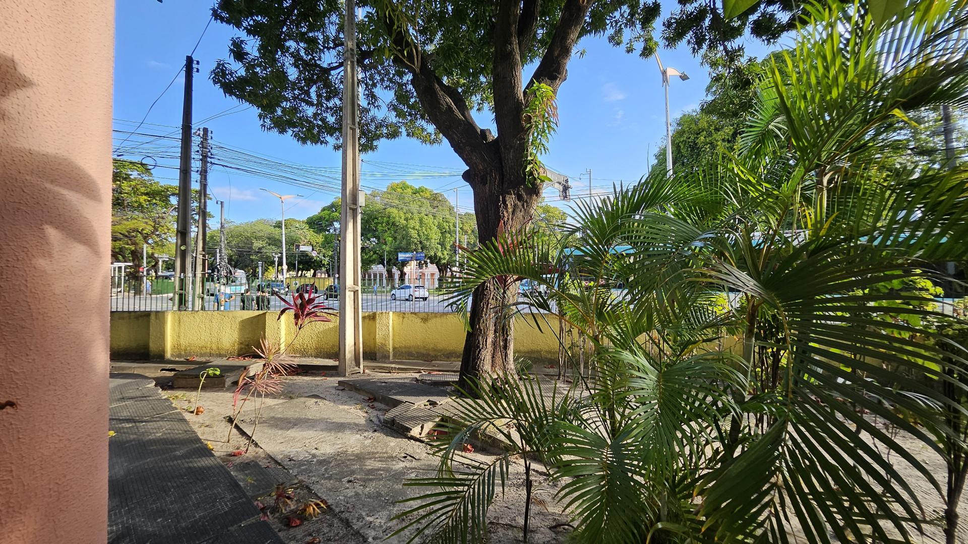 Foto diurna com a câmera grande-angular do Samsung Galaxy Z Flip5