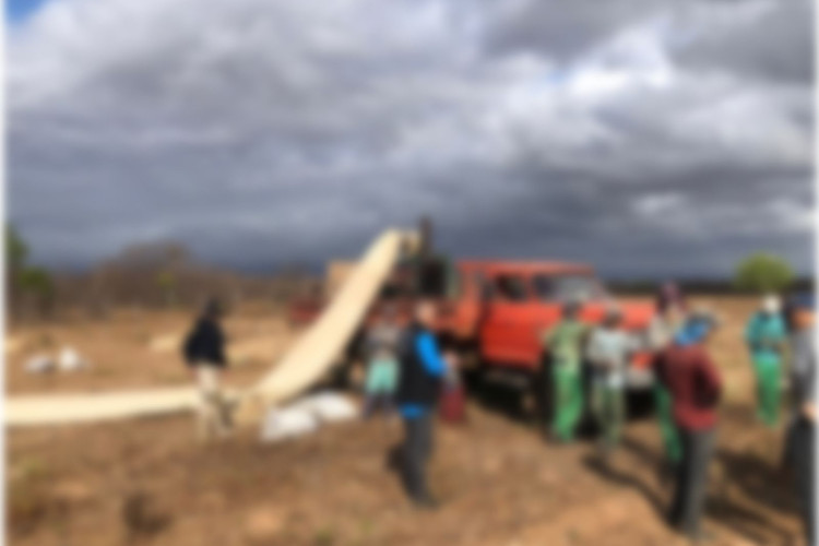  Fiscalização do Ministério do Trabalho / Ceará