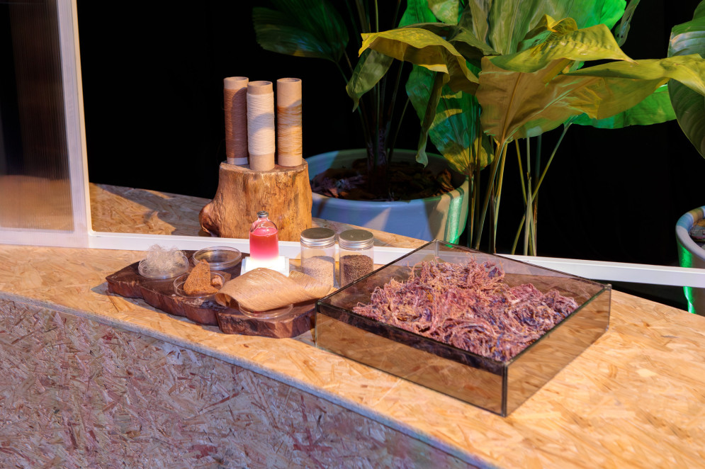 A Phycolabs, de São Paulo (SP), utiliza algas marinhas do Rio de Janeiro e do litoral do Nordeste, como do Ceará, para produção de fibras para tecidos A Phycolabs, de São Paulo (SP), utiliza algas marinhas do Rio de Janeiro e do litoral do Nordeste, como do Ceará, para produção de fibras para tecidos