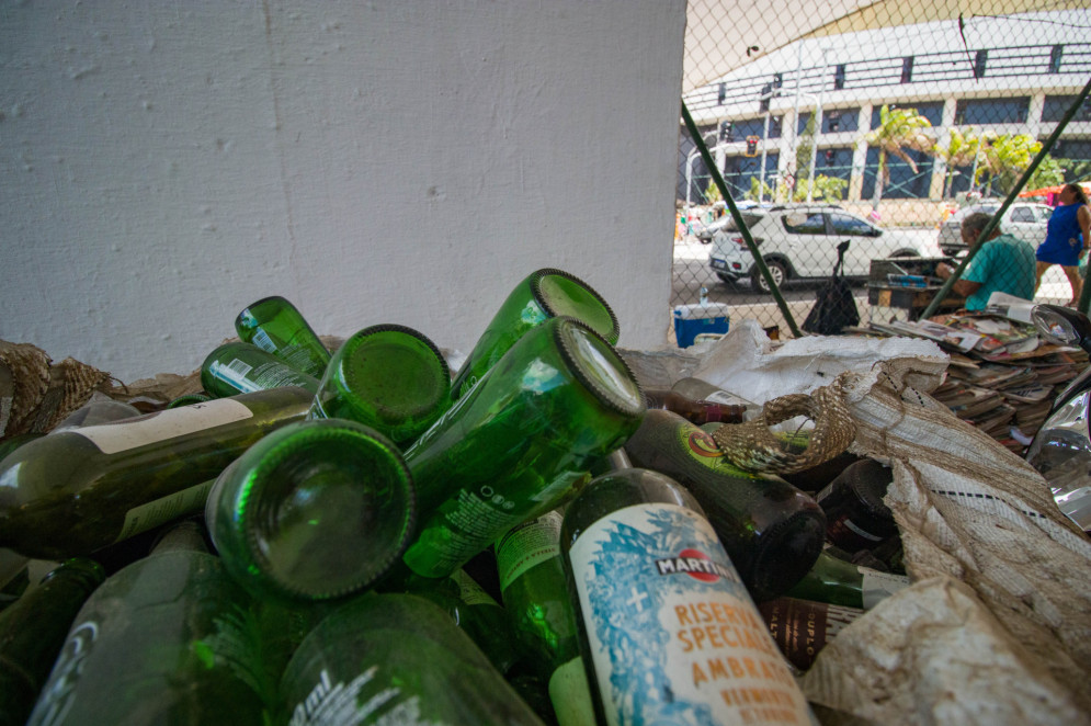 Potes de vidros de embalagens de alimentos em conserva como azeitona e palmito e garrafas de bebidas, azeite e molhos estão entre os itens coletados pelos catadores(Foto: Samuel Setubal)