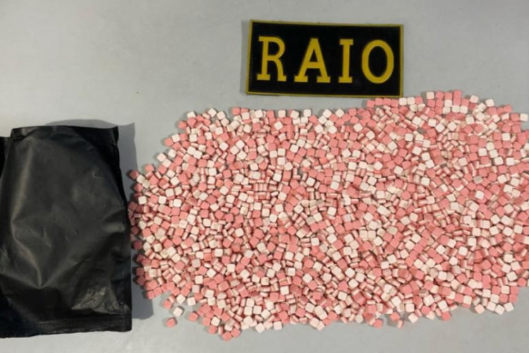 Carregamento apreendido pela PMCE tinha mais de 2 mil comprimidos de ecstasy