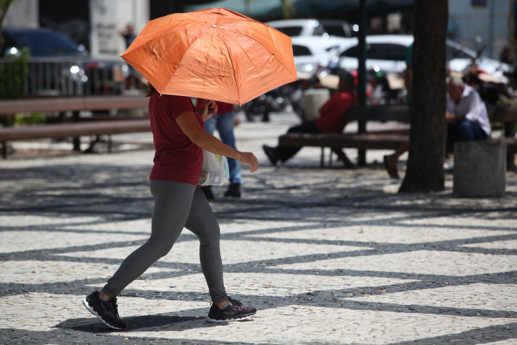 Sombrinhas são item imprescindível faça chuva ou faça sol