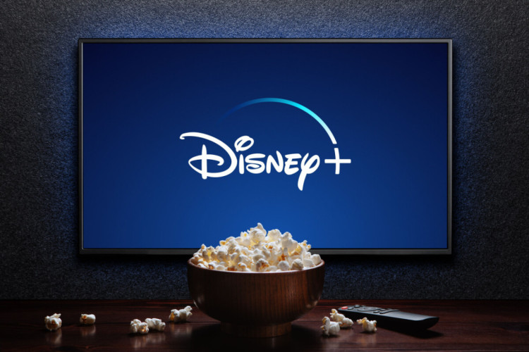 O Disney+ é a plataforma de streaming ideal para quem gosta de animações (Imagem: 
Hamara | Shutterstock)