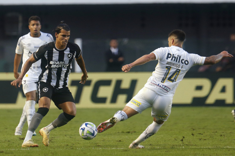 Botafogo x Santos: onde assistir ao vivo e horário