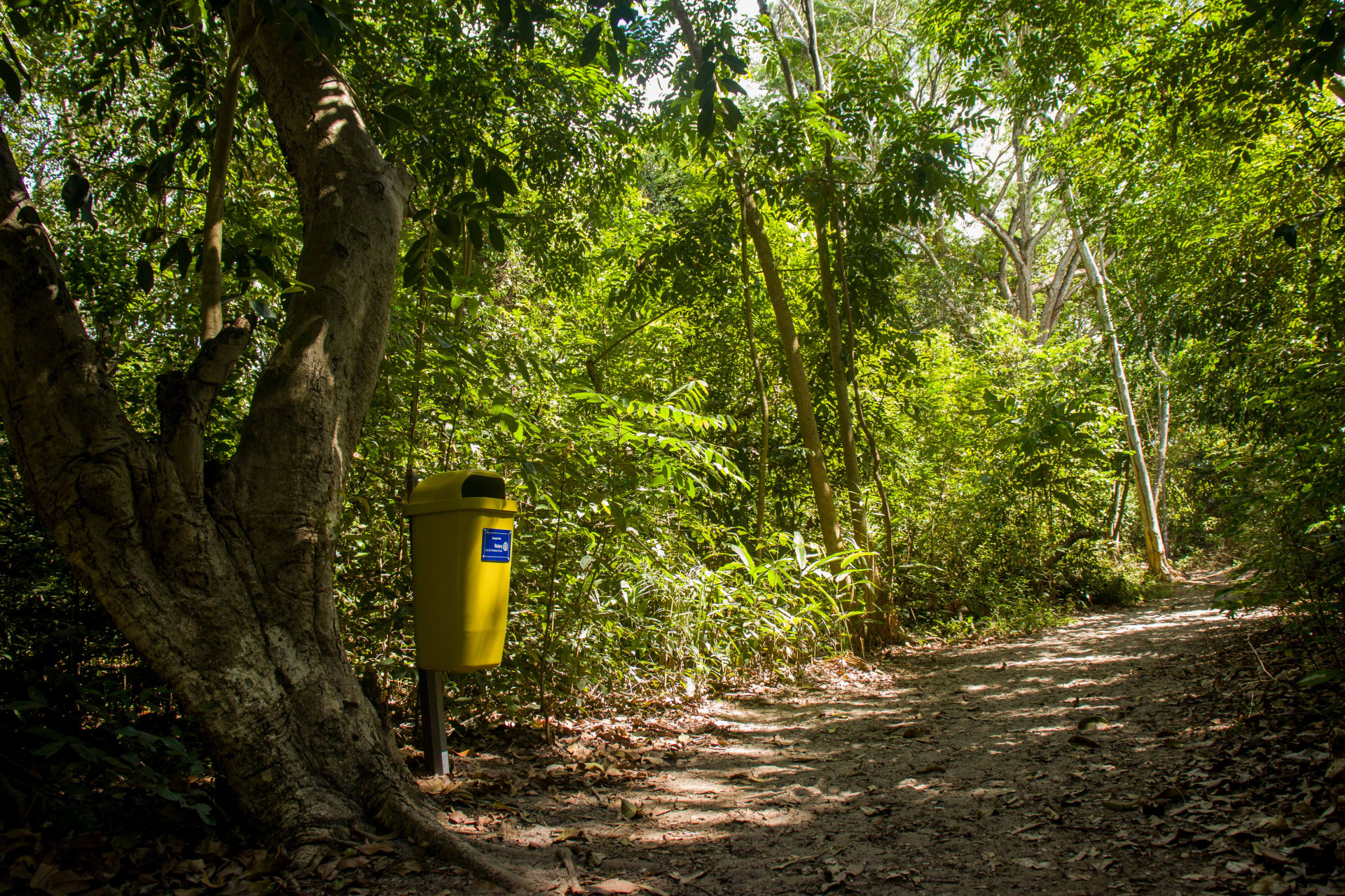 Arie Floresta do Curió é reconhecida como Posto Avançado da Mata Atlântica