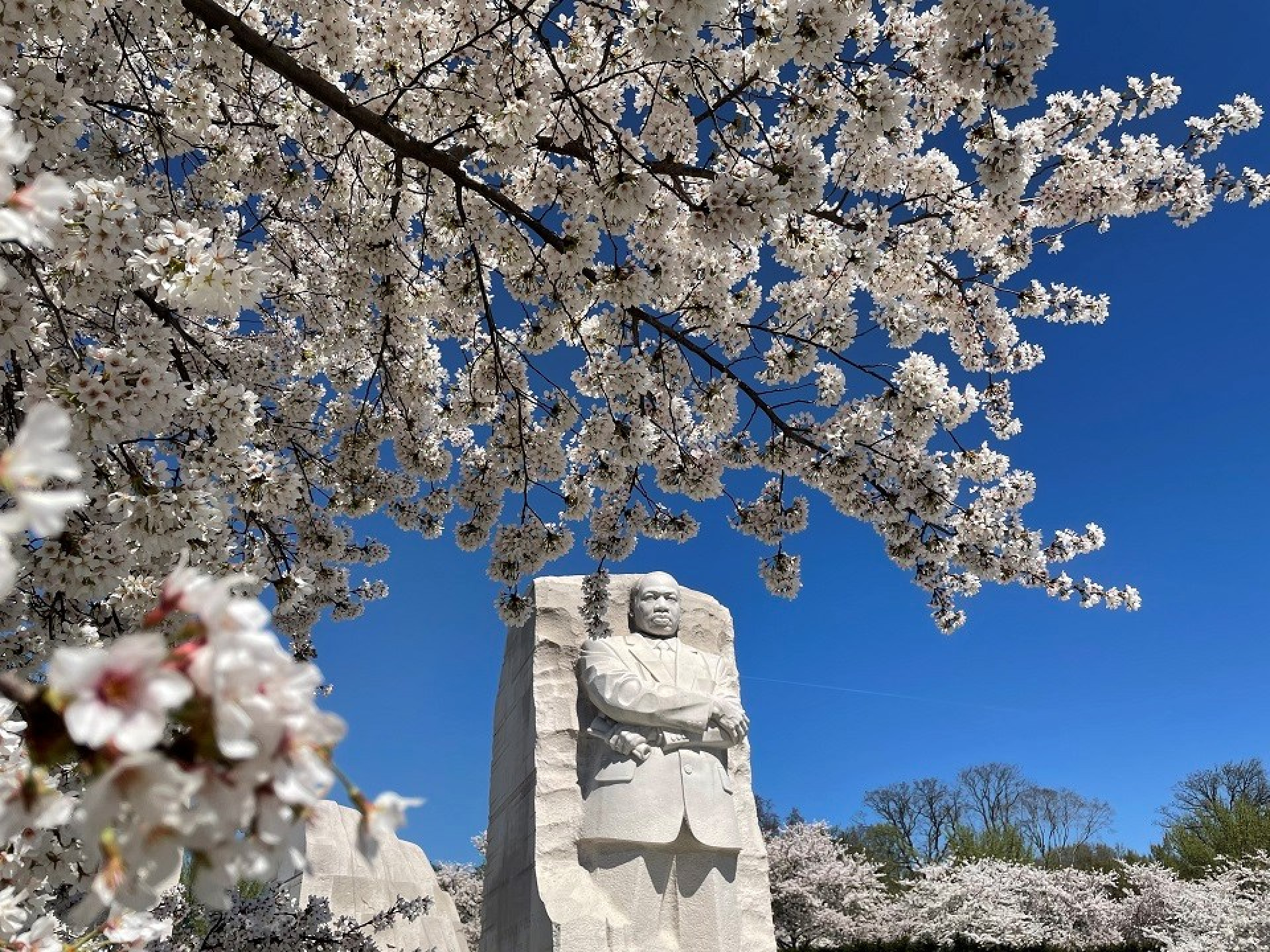 Imagem de apoio ilustrativo. Stone of Hope, estátua de Martin Luther King esculpida pelo escultor Lei Yixin, é uma das atrações do parque estadunidense Martin Luther King, Jr. Memorial. A peça foi inspirada no discurso do ativista que diz: "Uma montanha de desespero, uma pedra de esperança" (Foto: NPS Photo)
