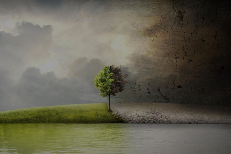 Os documentários sobre desastres ambientais enfatizam os problemas enfrentados pelo planeta (Imagem: Reprodução Digital | Appian Way Productions; Dune Entertainment; Diamond Docs)