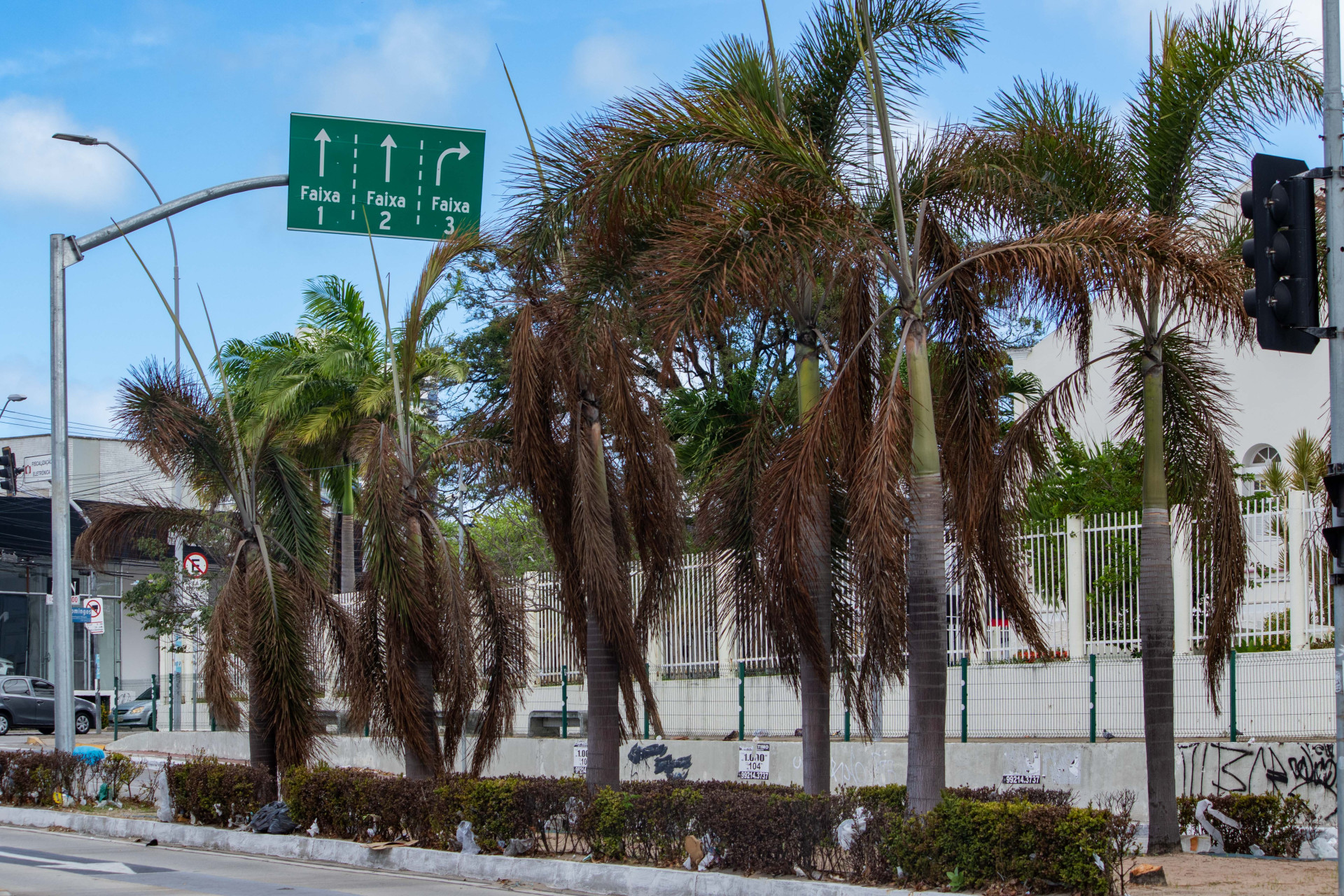 FORTALEZA, CEARÁ, BRASIL, 05-12-2023: Jardim da estação O Povo na Avenida da Aguanambi está abandonado e sem cuidados. (Foto: Samuel Setubal/ O Povo)