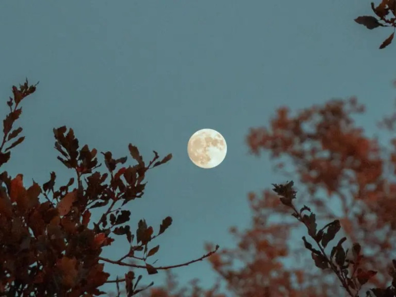 Fases da lua em 2024: confira calendário completo do ano