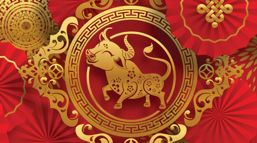 Os nativos de Búfalo, geralmente, são pessoas conservadoras (Imagem: Siam Vector | Shutterstock)