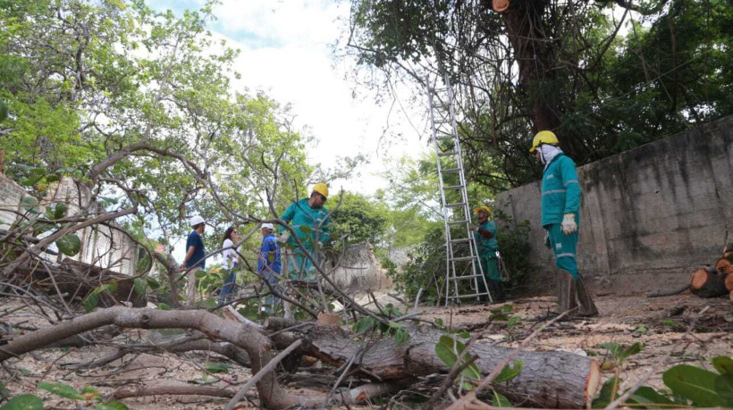 Avenidas AImirante Henrique Sabóia e Governador Raul Barbosa, em Fortaleza, recebem mutirão nesta sexta-feira, 22