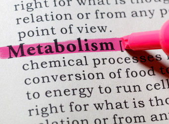 A prática acelera o metabolismo e faz com que o corpo use reservas de gordura como fonte de energia.