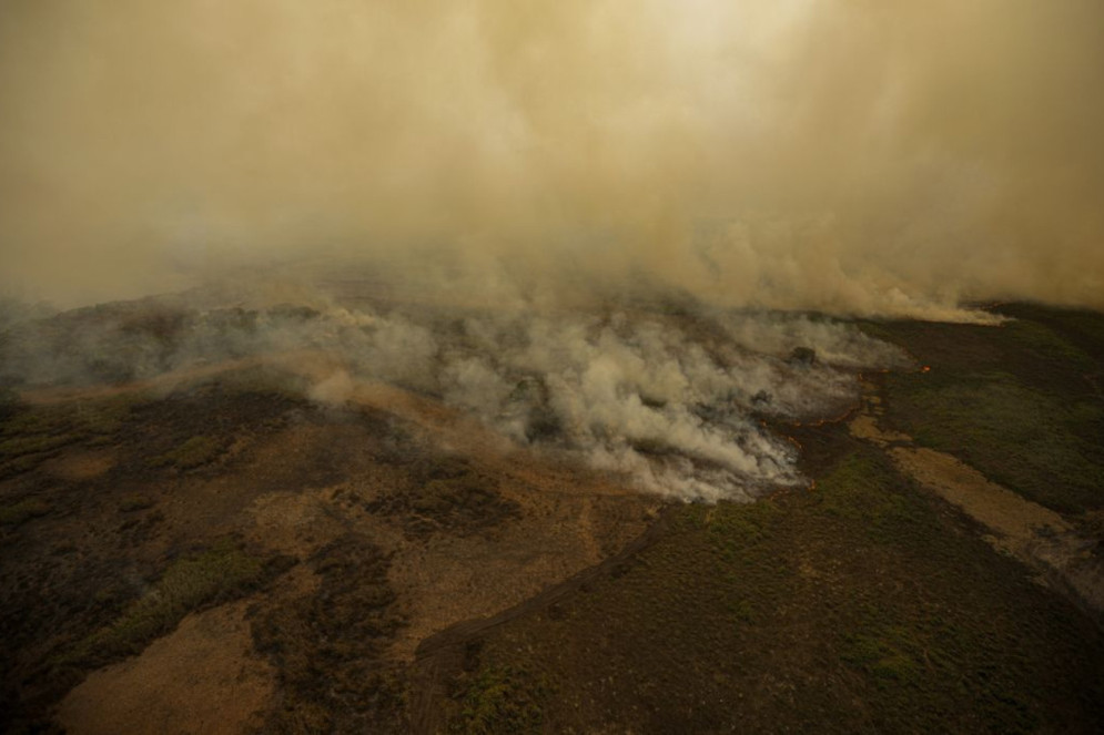 Pesquisa mede emissão de óxido nitroso na Amazônia e no Pantanal(Foto: )