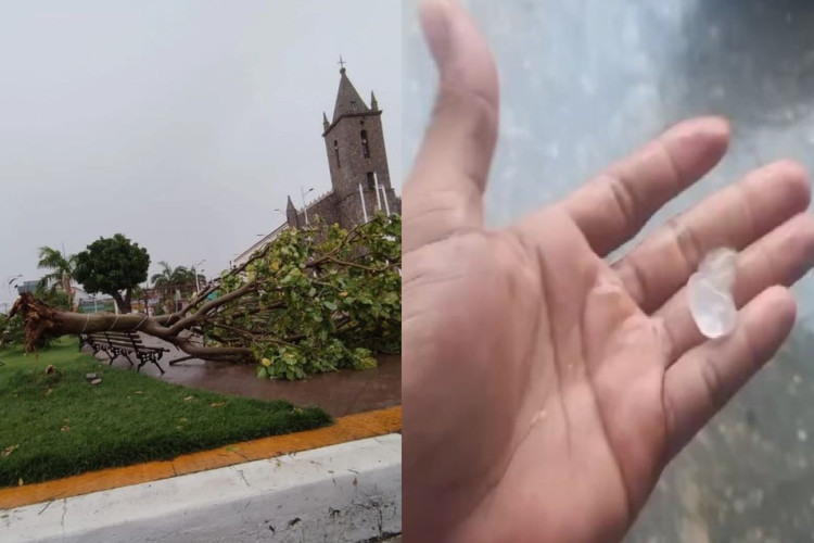 Moradores utilizaram as redes sociais para divulgarem os efeitos da chuva