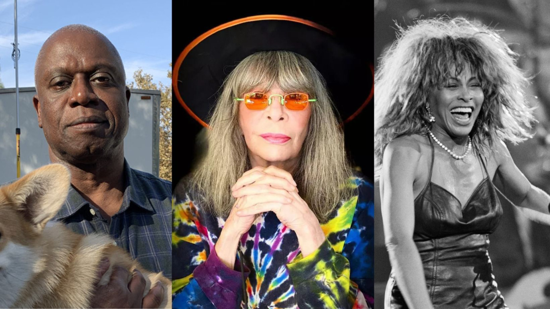 Andre Braugher, Rita Lee e Tina Turner foram alguns dos artistas que morreram em 2023