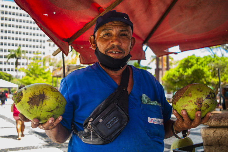 Calor intenso aumenta vendas de água de coco. (Foto: Fernanda Barros/ O Povo)     