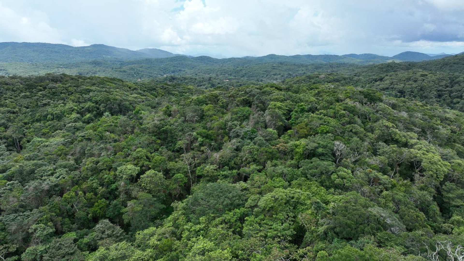 RPPN Oásis Baturité