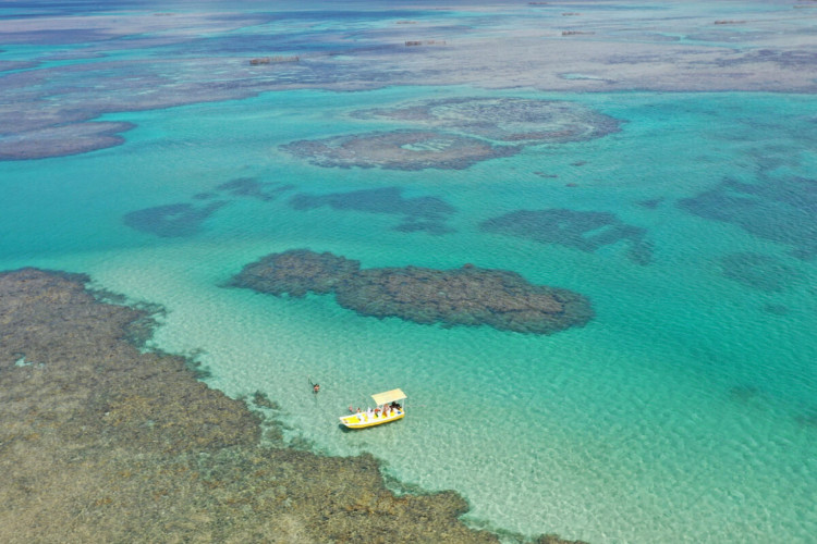 O cenário recheado de belezas naturais é um dos maiores atrativos da Costa dos Corais, em Alagoas (Imagem: Marcia Cobar | Shutterstock)