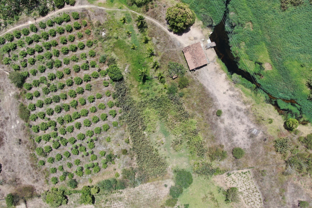Área de irrigação no Vale do Acaraú(Foto: reprodução NÚCLEO DE FISCALIZAÇÃO COGERH)