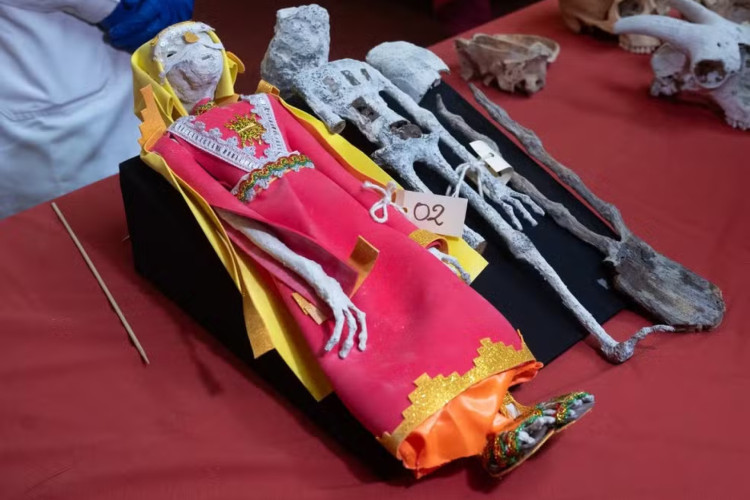 ‘Múmias Extraterrestres’ feitas com ossos de animais são descobertas no Peru
