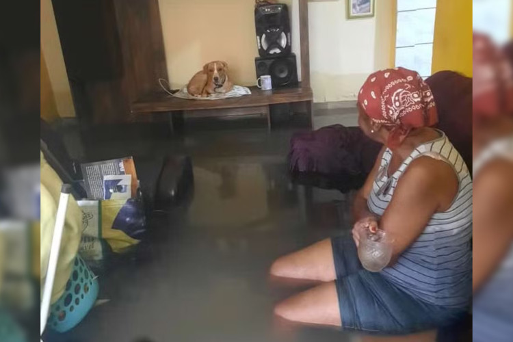 Norma de Morais, de 70 anos, teve a casa inundada pela chuva, na Zona Norte do Rio de Janeiro