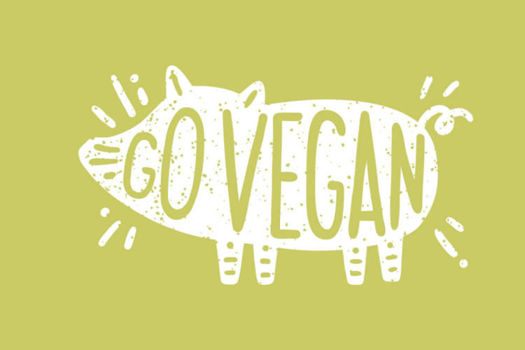 O veganismo é um estilo de vida que não utiliza produtos de origem animal (Imagem: kondratya | Shutterstock)