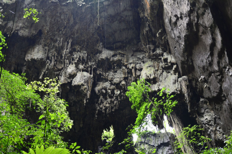 A Caverna Termimina é um dos tesouros encontrados no Parque Estadual do Alto Ribeira, em Iporanga, no Vale do Ribeira (Imagem: itinerariodeviagem | Shutterstock)