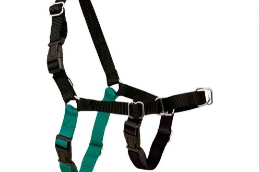 Coleiras do tipo easy walk são recomendadas para cães