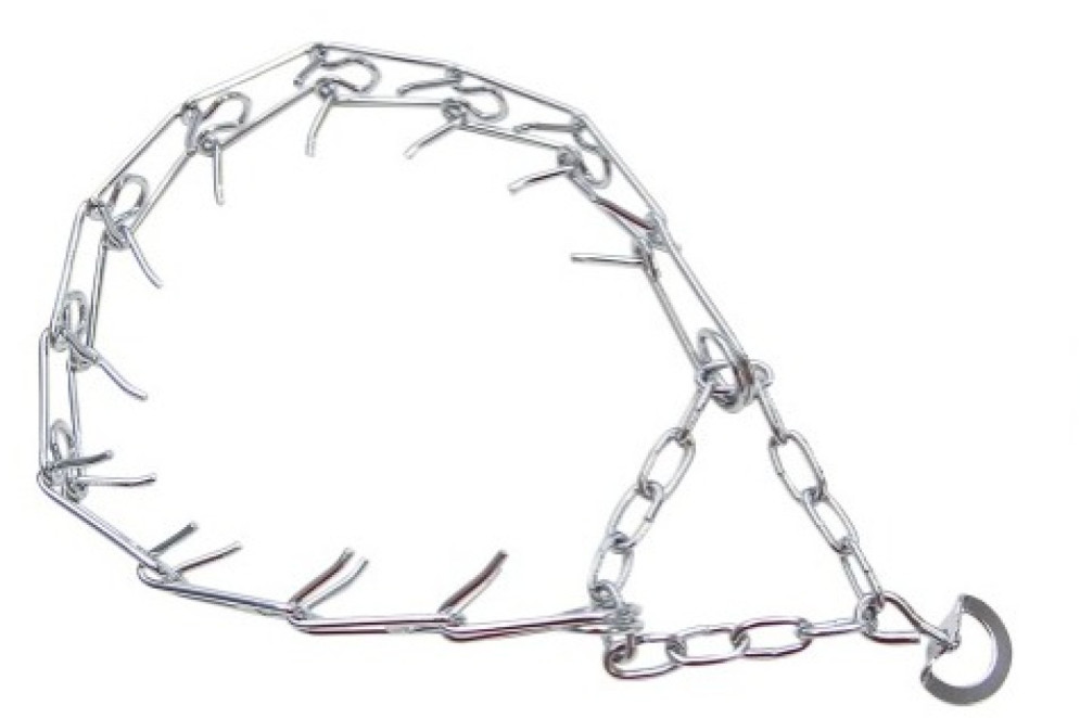 Coleira do tipo enforcador pode trazer prejuízos à saúde do cachorro