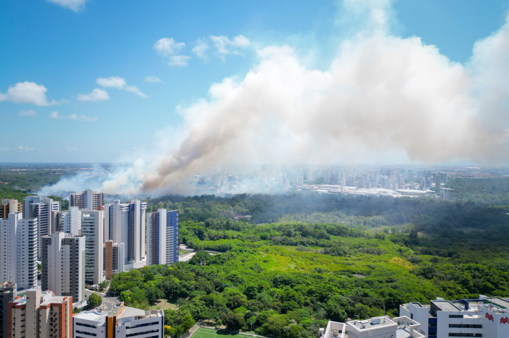 Incêndio atinge Parque do Cocó, e fumaça se espalha por bairros de Fortaleza(Foto: AURÉLIO ALVES)