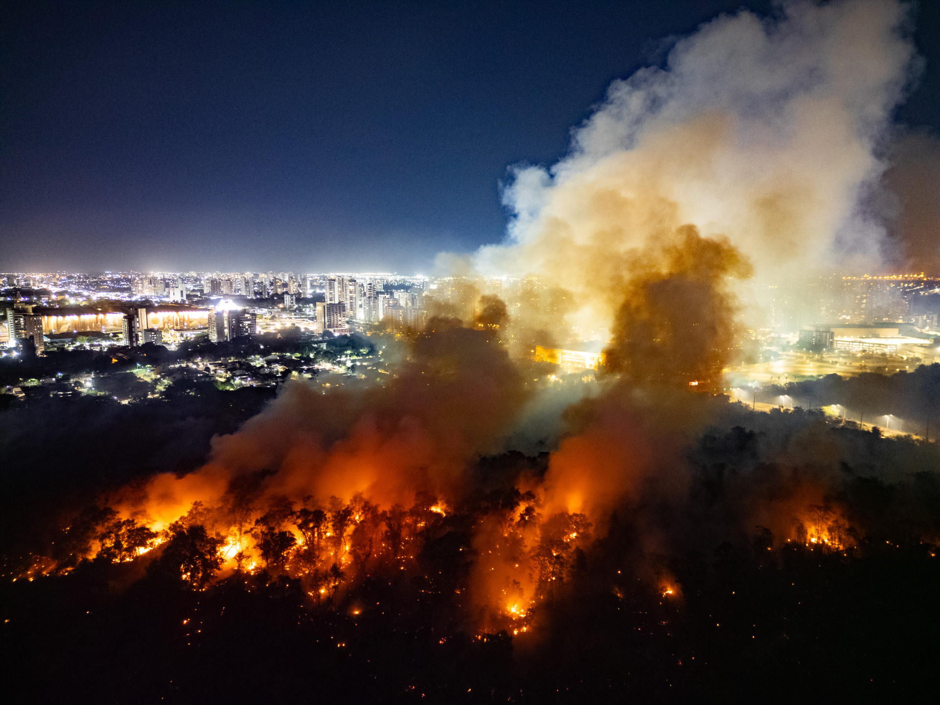 Incêndio atingiu o Parque do Cocó. A fumaça se espalhou por bairros de Fortaleza (Foto: AURÉLIO ALVES)