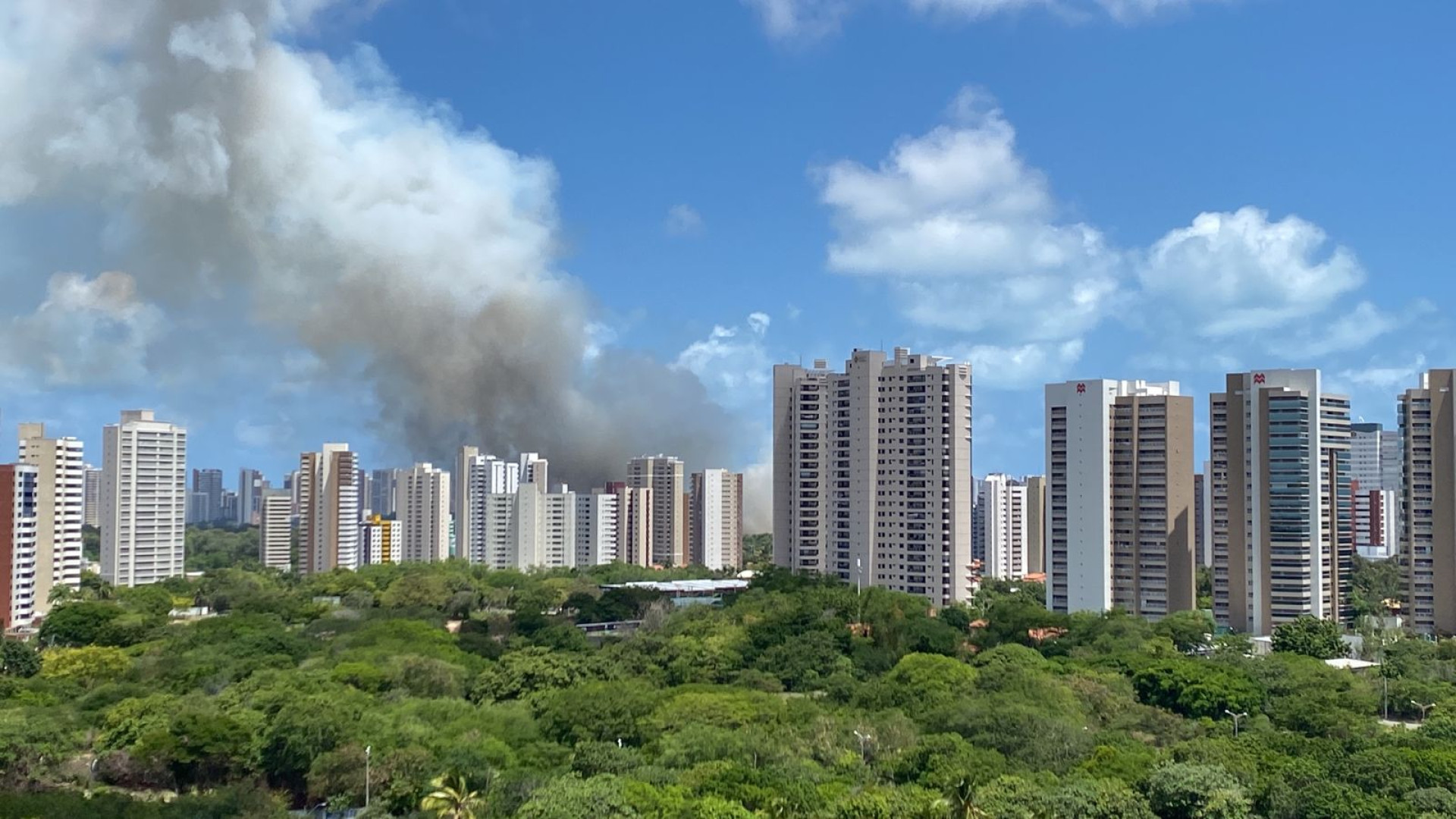 Fumaça gerada por incêndio no parque do Cocó é vista por moradores da vizinhança e também em outros bairros da Capital  (Foto: Révinna Nobre/ O POVO)