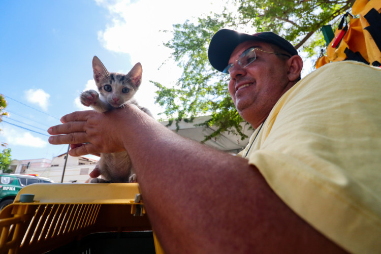 Gatinha encontrada na operação de combate ao incêndio do Parque do Cocó