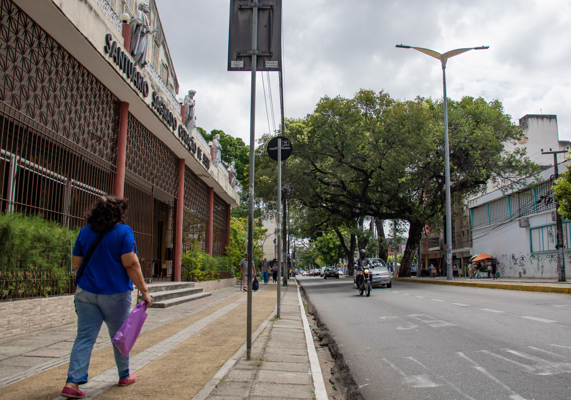 Àrvores com risco de queda são perido para edificações e pessoas. Na foto, av. Duque de Caxias