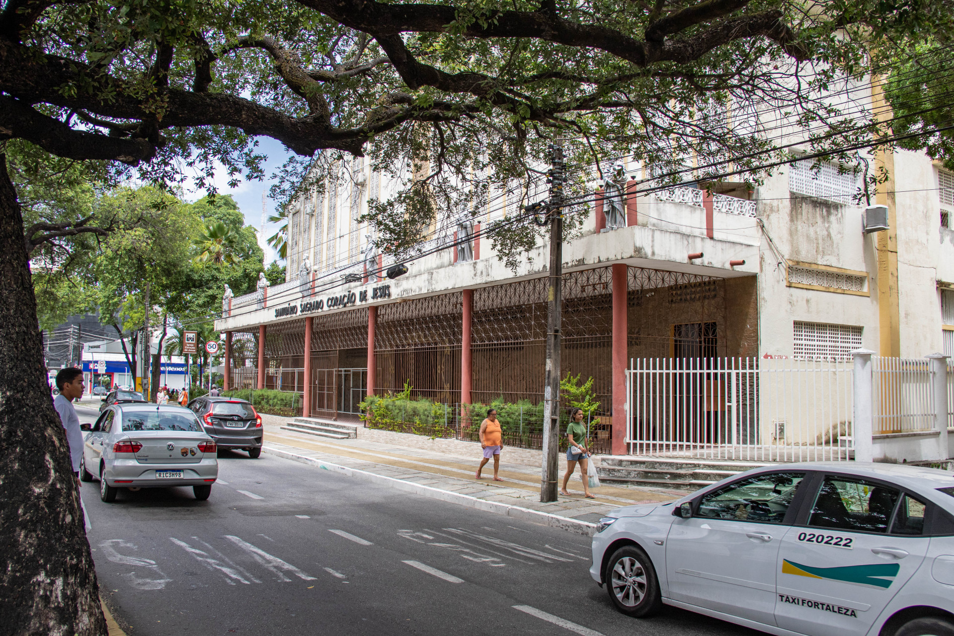 FORTALEZA, CEARÁ, BRASIL 23-01-2024: Fotos: Árvores perigosas que estão ameaçadas de cair. (Foto: Yuri Allen/Especial para O Povo)